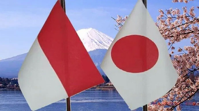 Perbandingan Jasa Impor Jepang: Harga vs. Kualitas