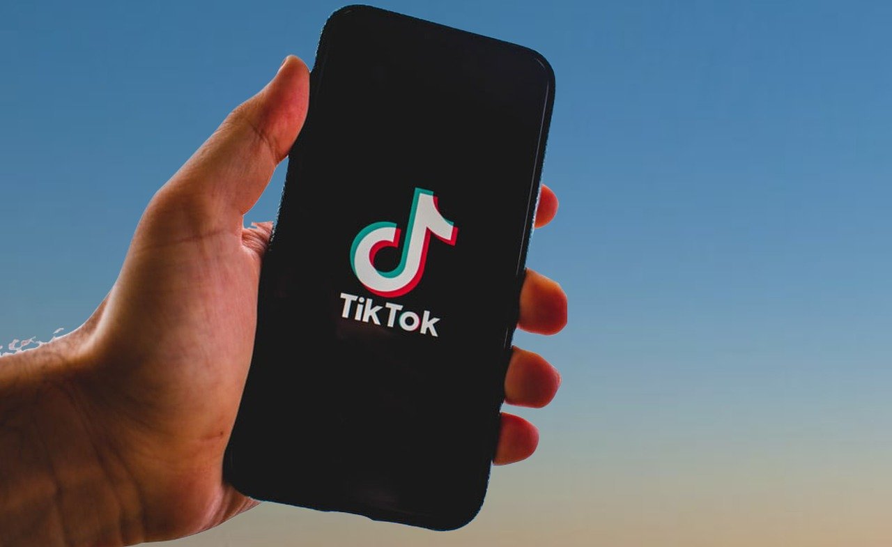 Panduan Terperinci Download Video TikTok Tanpa Watermark di Snaptik